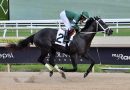 RATED BY MERIT mantiene su invicto en el Affirmed Stakes