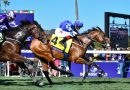 MAGNUM FORCE sorprende en la Breeders’ Cup Juvenile Turf Sprint