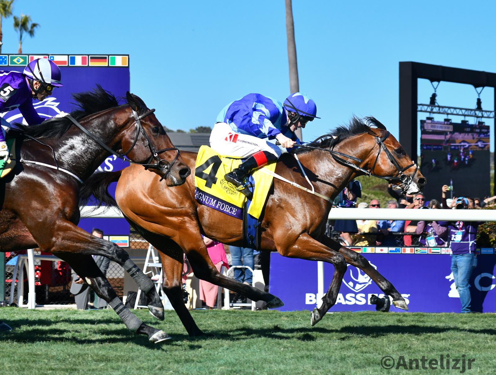 MAGNUM FORCE sorprende en la Breeders’ Cup Juvenile Turf Sprint