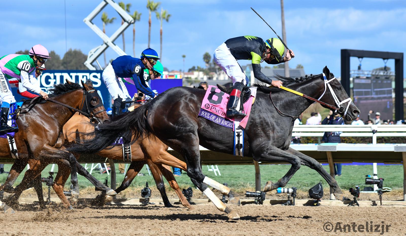 SOUL OF AN ANGEL vuela para ganar la BC Filly & Mare Sprint