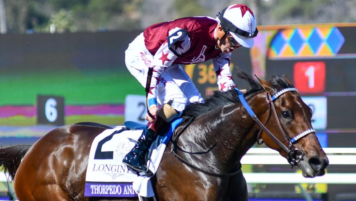 THORPEDO ANNA cierra con brillantez su año en la Breeders’ Cup Distaff