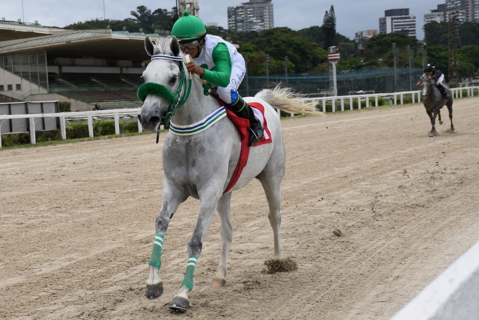 Allure BV ganó la UAE President Cup for Colts & Fillies VII.