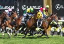 KNIGHT’S CHOICE (99-1) sorprende en la Melbourne Cup 2024