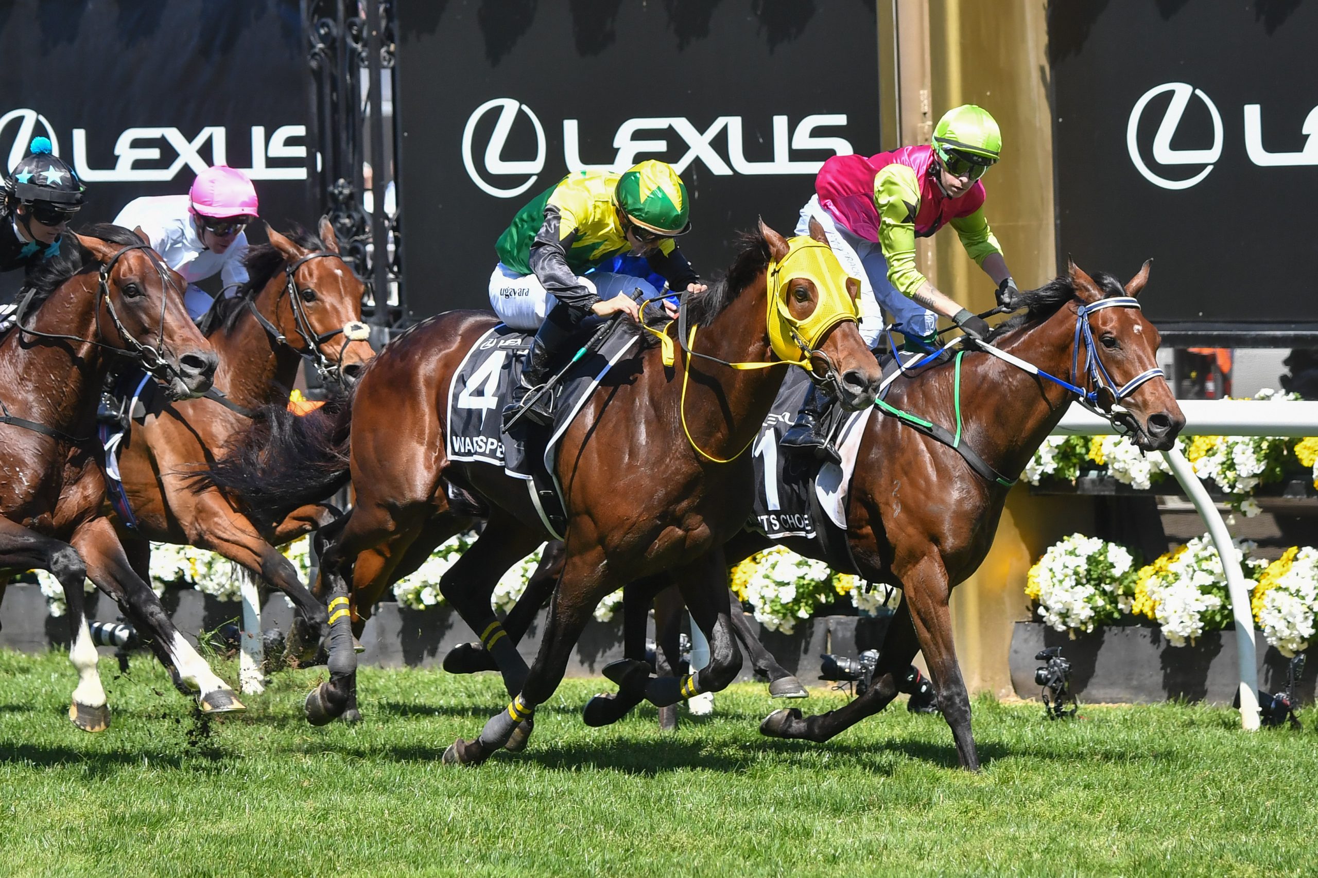 KNIGHT’S CHOICE (99-1) sorprende en la Melbourne Cup 2024