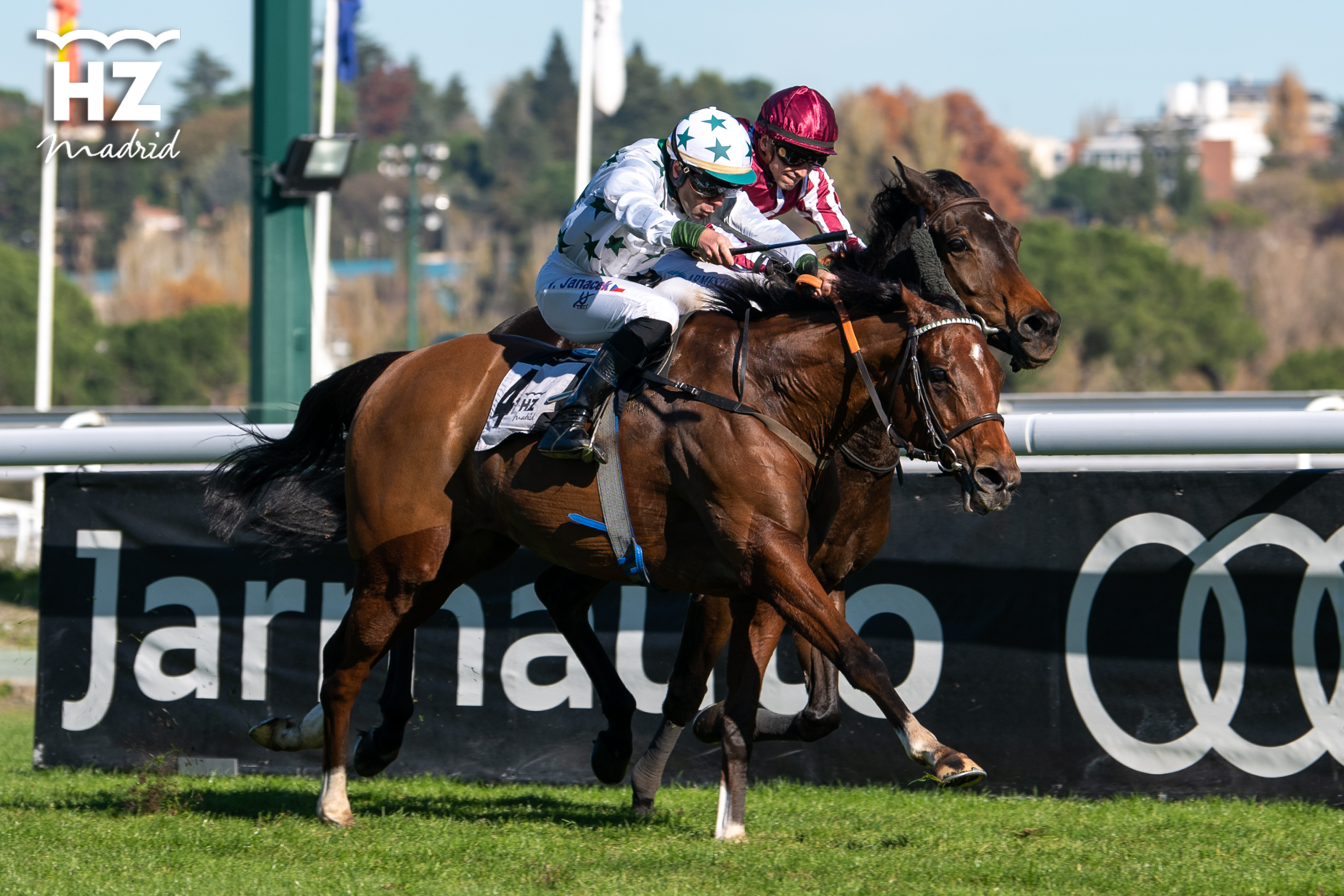 Finaliza la temporada de otoño a lo grande  con el Gladiateur y el Veil Picard