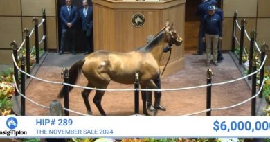 McKULICK encabeza la lluvia de millones de la venta de noviembre en Fasig-Tipton