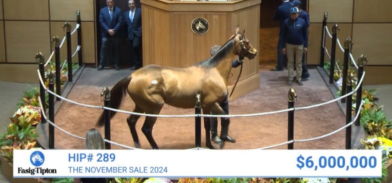 McKULICK encabeza la lluvia de millones de la venta de noviembre en Fasig-Tipton