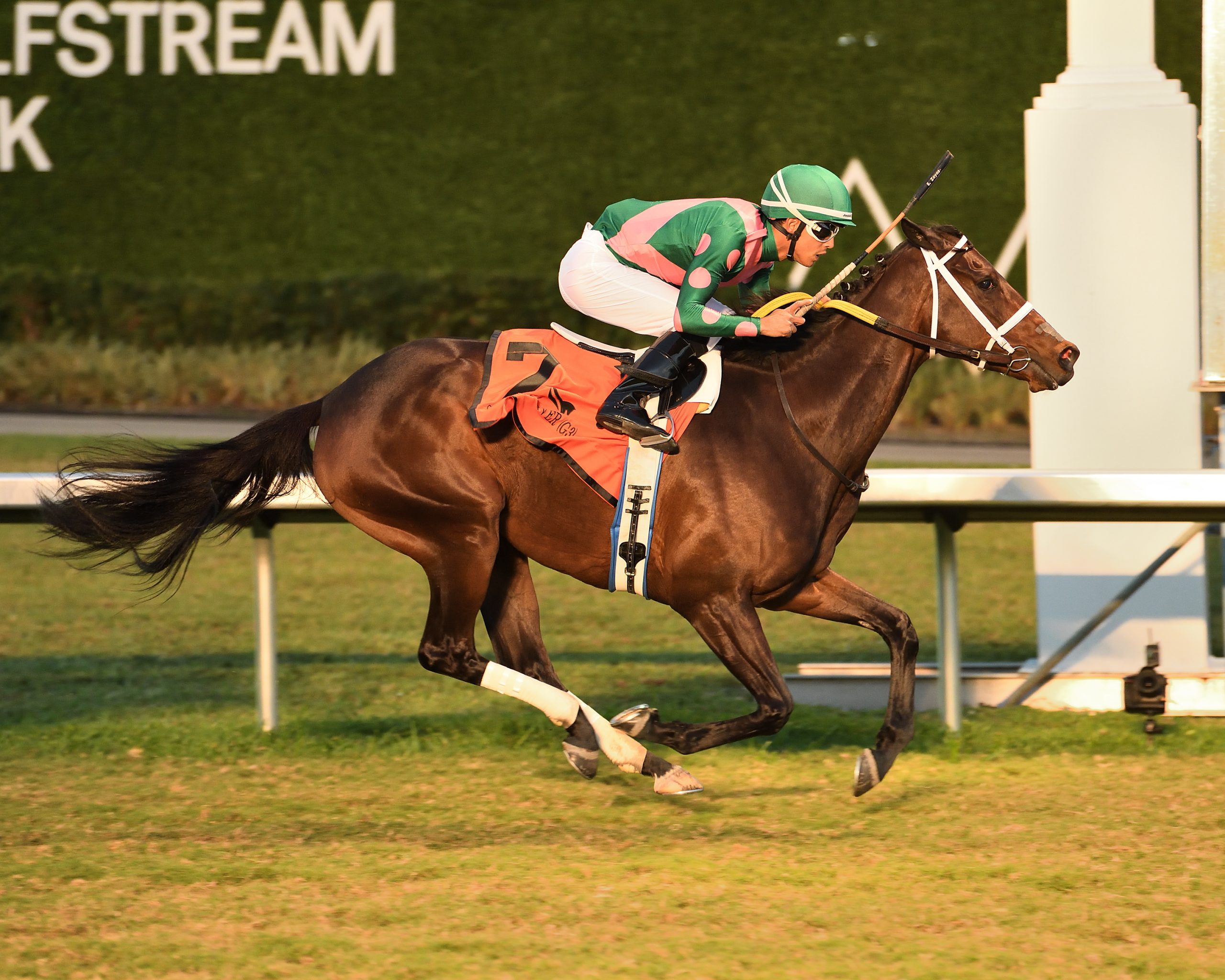 BE YOUR BEST fue muy superior en el Suwanee River Handicap (G3)