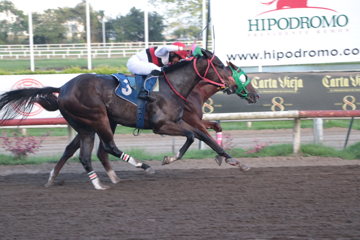 Triunfo Con Final Card Aco Para El Experto Hipismo Net