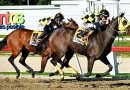 TEQUILA encabeza el 1-2 del Stud «M.M.» y David Palencia en la Copa Confraternidad del Caribe (Hembras)