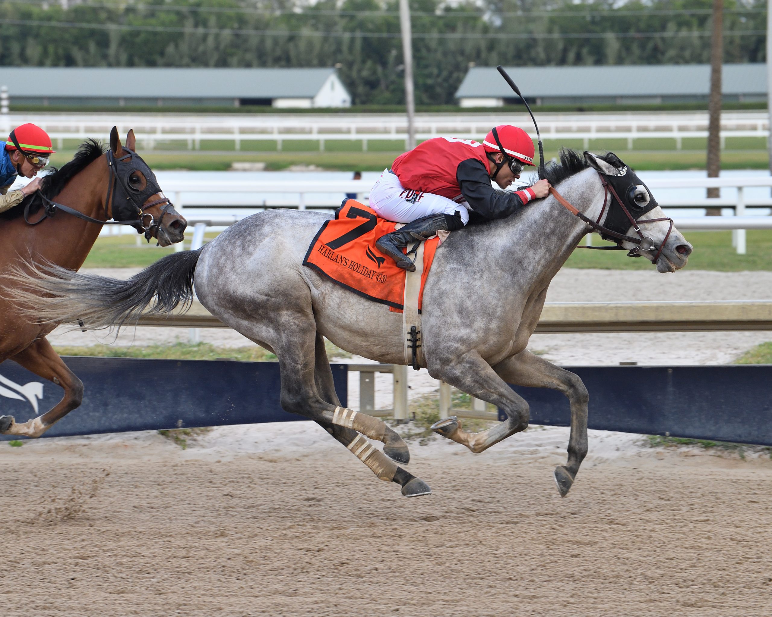 ROCKET CAN se impone en el Harlan’s Holiday de $165.000