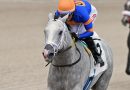 WHITE ABARRIO invitado a buscar la repetida en la Pegasus World Cup