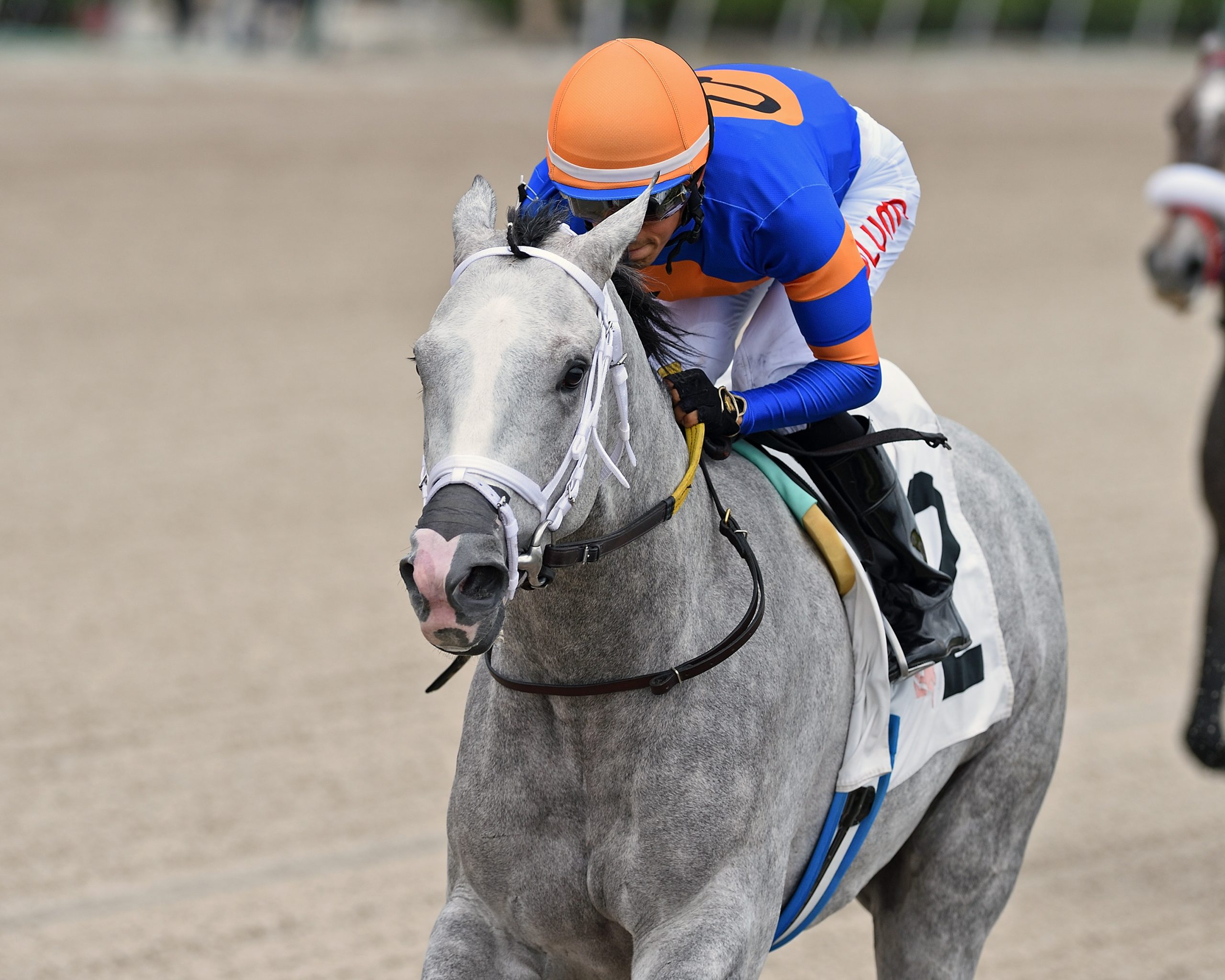 WHITE ABARRIO invitado a buscar la repetida en la Pegasus World Cup