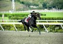 NIÑO LORENZO galopa el LVI Clásico del Caribe