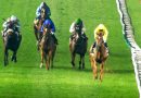 La irlandesa CHOISYA dio un galope en el Cape Verdi (G2), su debut en Meydan