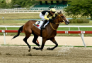 SUGAR CANE con impresionante galope se impone en el Clásico Andrés Bello (G2)