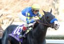 NEWGRAGE se une a los principales invitados a la Pegasus World Cup (G1)