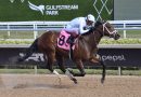 El tresañero RIVER THAMES impresiona en su debut el sábado en Gulfstream Park