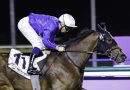 FIRST CONQUEST defenderá el honor de Godolphin en los Dubai Millennium Stakes