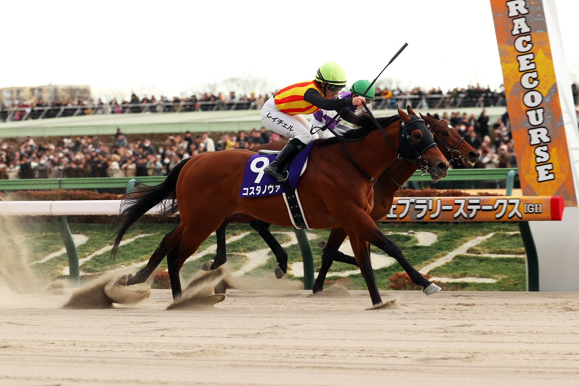 COSTA NOVA repite en el February Stakes