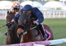 EPONA´S HOPE se impone en el Ladies’ Turf Sprint