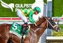 GATE TO WIRE se convierte en protagonista del Swale