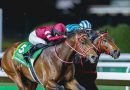 FOREVER YOUNG, considerado el mejor caballo en arena del mundo tras ganar la Saudi Cup