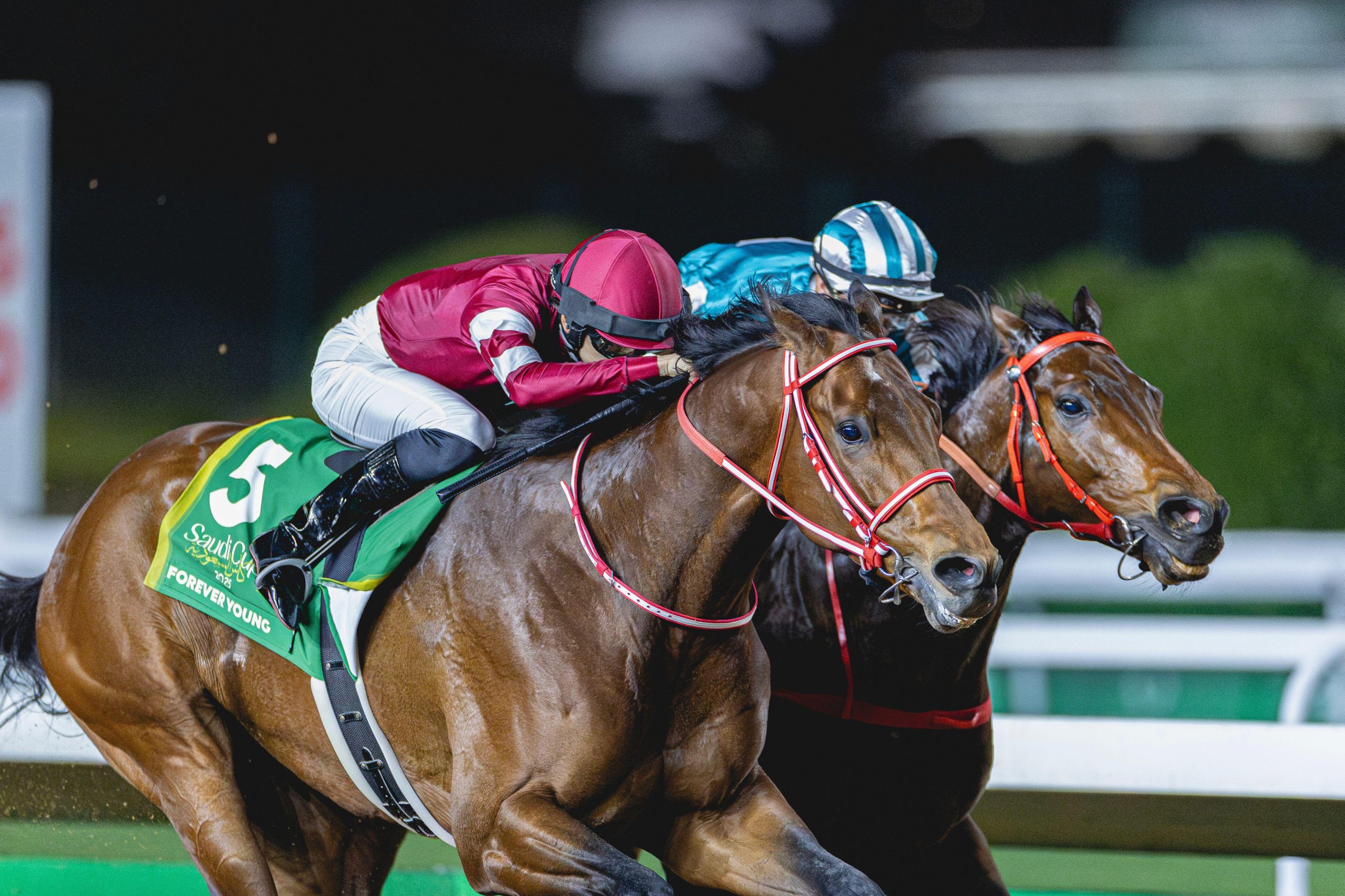 FOREVER YOUNG se enfrentará a los mejores de Estados Unidos y Japón en la Saudi Cup
