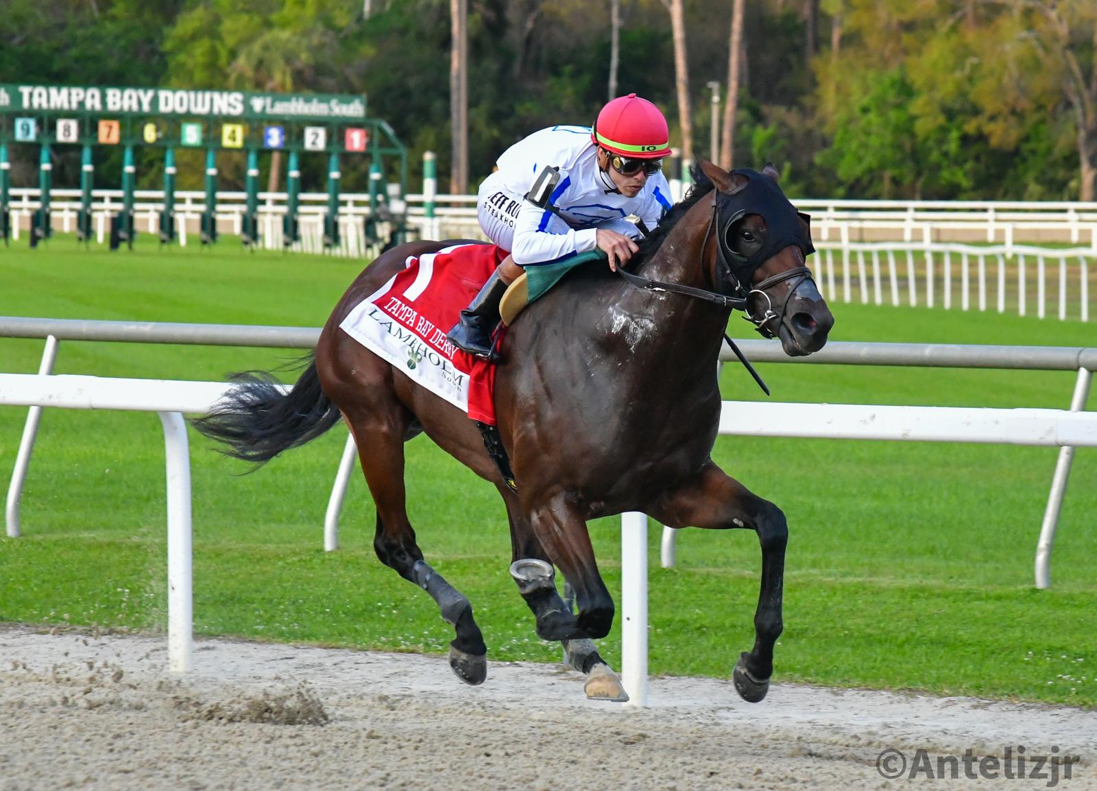 OWEN ALMIGHTY de punta a punta en el Tampa Bay Derby con Irad Ortiz Jr. Inspirado