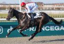 Monbe sale de maiden en Chantilly