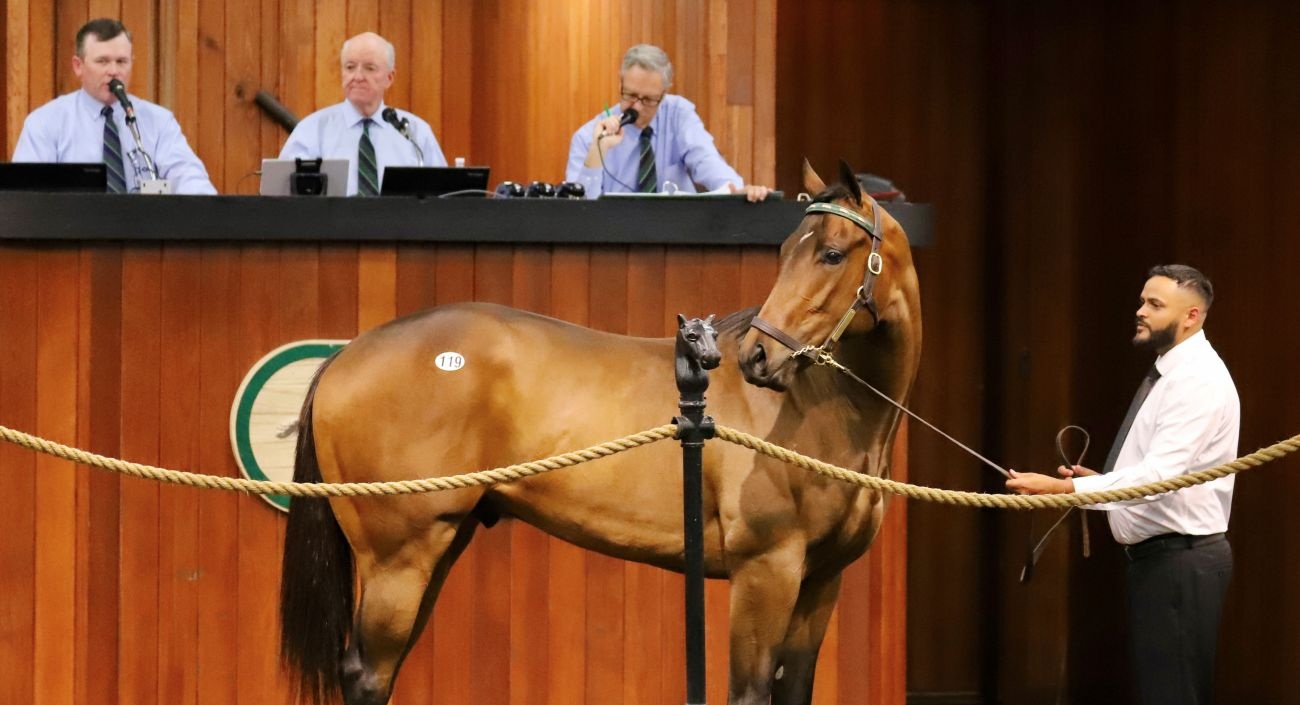 Hijo de Maxfield llega al millón de dólares en la jornada inaugural en OBS