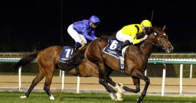 Reencuentro entre Marbaan y Mysterious Night en el Ras Al Khor