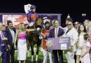 SUPER SATURDAY: IMPERIAL EMPEROR hace soñar a sus dueños con la Dubai World Cup