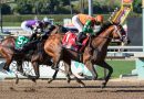 JOURNALISM listo para consagrarse como el mejor en el 151° Kentucky Derby (G1)