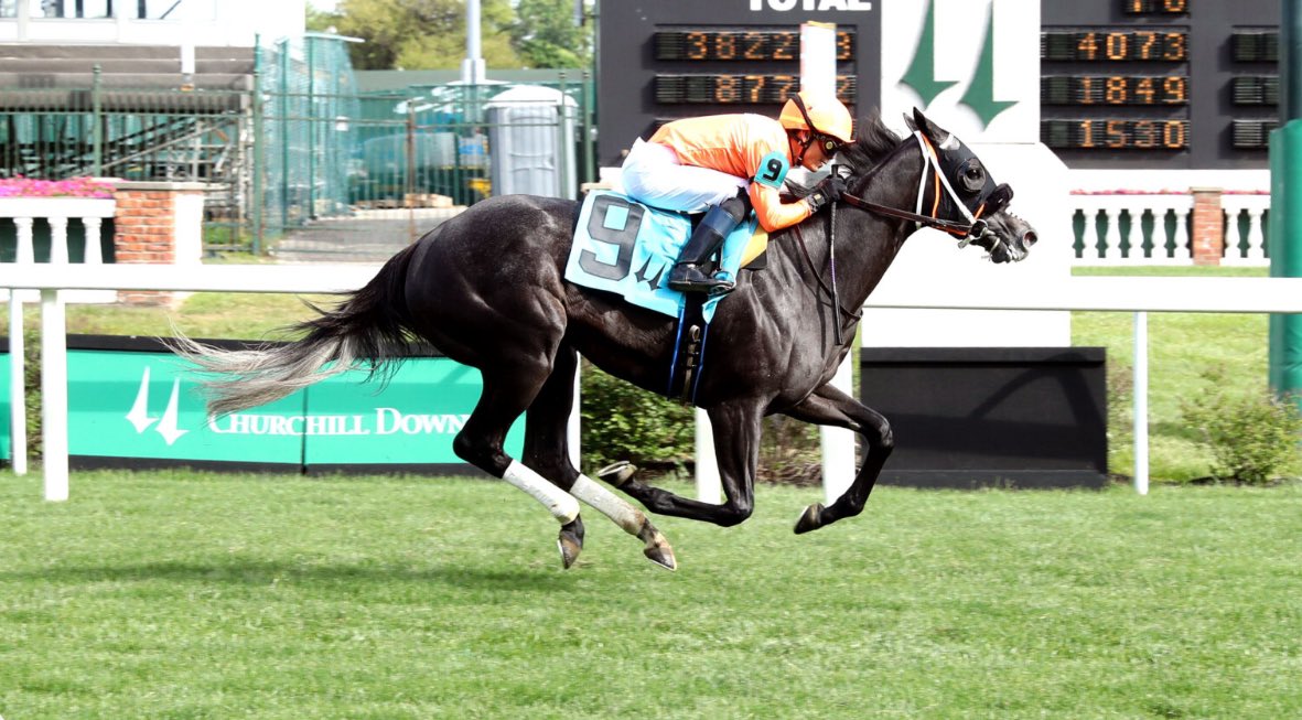 SHISOSPICY matiene su racha al ganar el Mamzelle Stakes