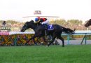 Breeders´Cup Win And You´re In: ASCOLI PICENO y STELLENBOSCH encabezan la Victoria Mile