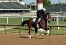 McCarthy: JOURNALISM se prepara en vísperas del 150º Preakness Stakes