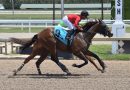 SQUIRE llega en forma al Royal Palm Juvenile del sábado