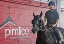 NOTAS DEL PREAKNESS 150