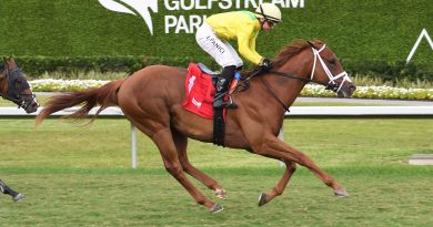 SANDAL´S SONG gana el Royal Palm Juvenile