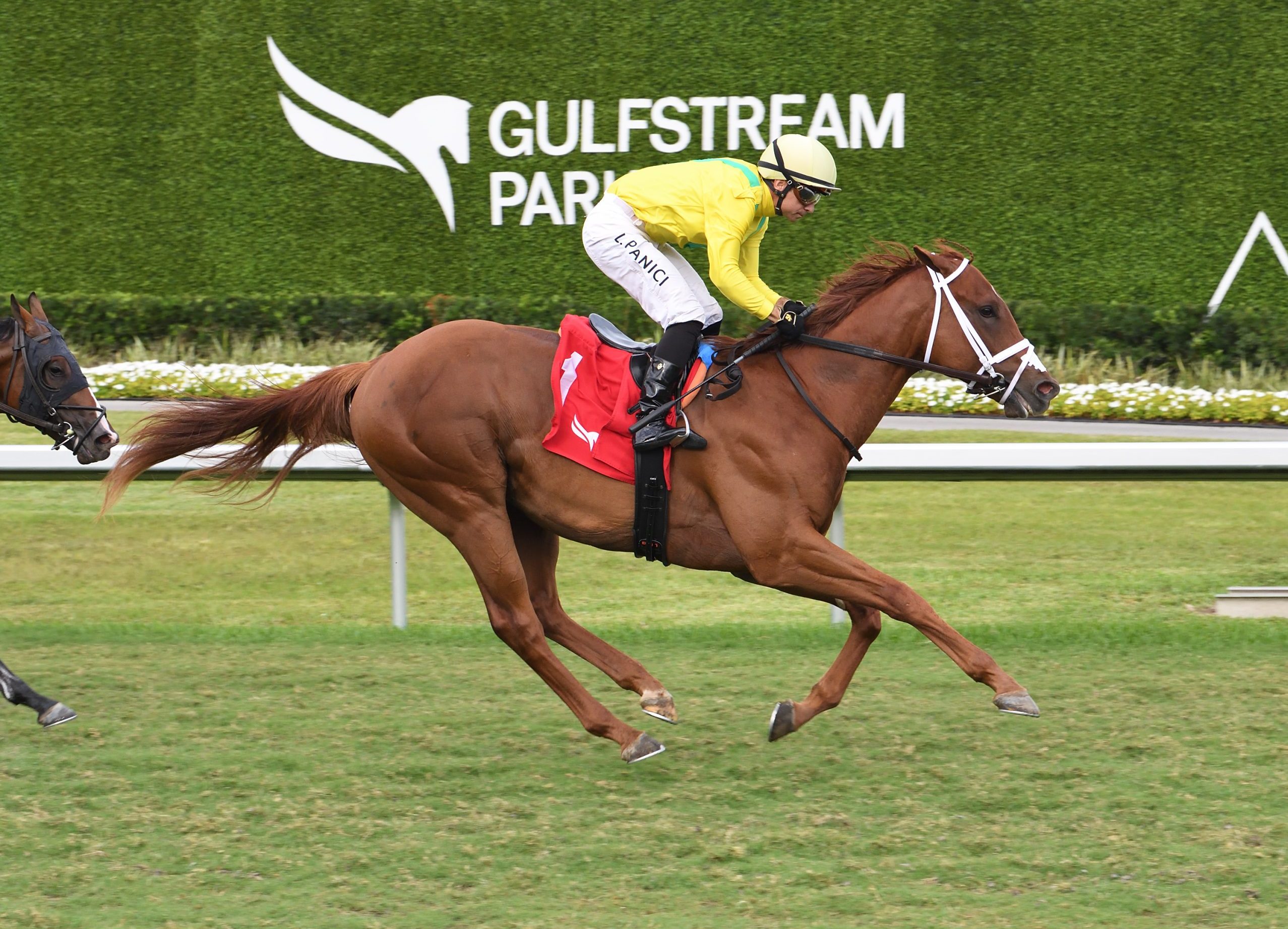 SANDAL´S SONG gana el Royal Palm Juvenile
