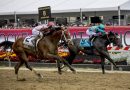 JOURNALISM luce enorme en Haskell S. (G1) este sábado en Monmouth Park