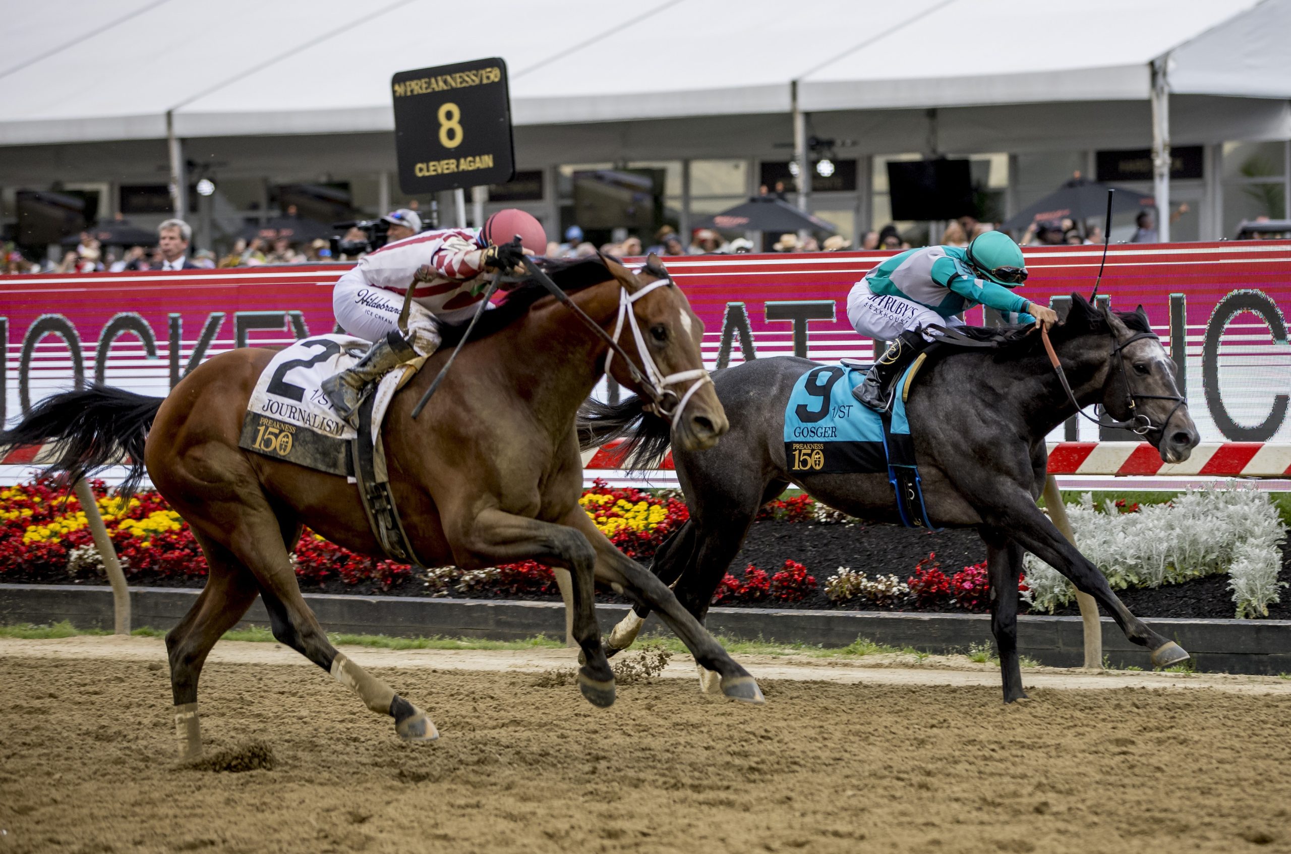 JOURNALISM luce enorme en Haskell S. (G1) este sábado en Monmouth Park