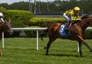FAR BRIDGE sin enemigos en el Man O’War Stakes de Aqueduct