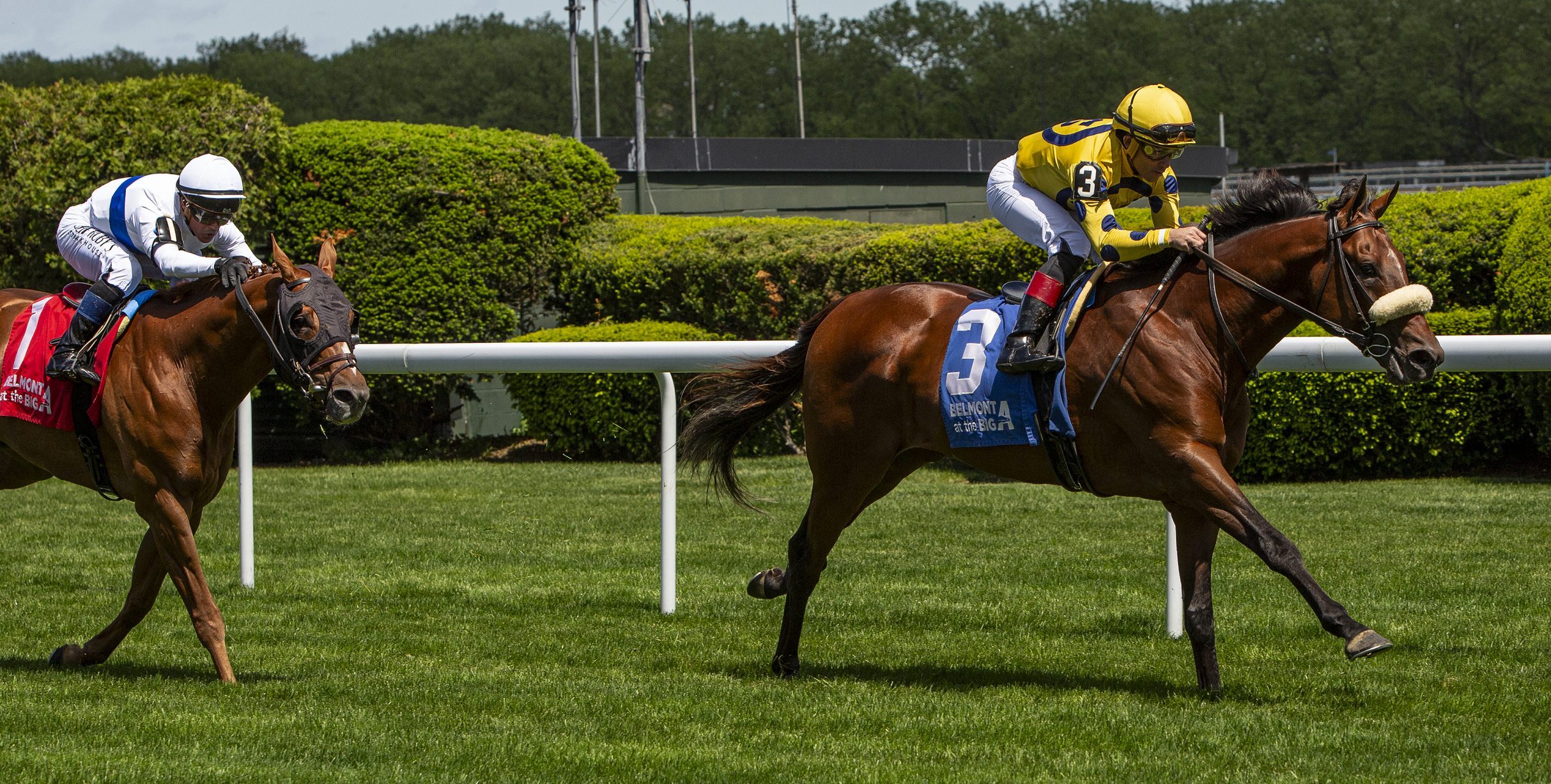 FAR BRIDGE sin enemigos en el Man O’War Stakes de Aqueduct