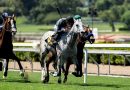 LOVESICK BLUES supera al favorito BRAN para llevarse el SIREN LURE STAKES
