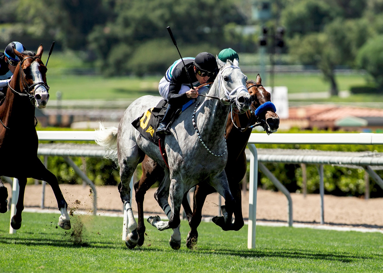 LOVESICK BLUES supera al favorito BRAN para llevarse el SIREN LURE STAKES