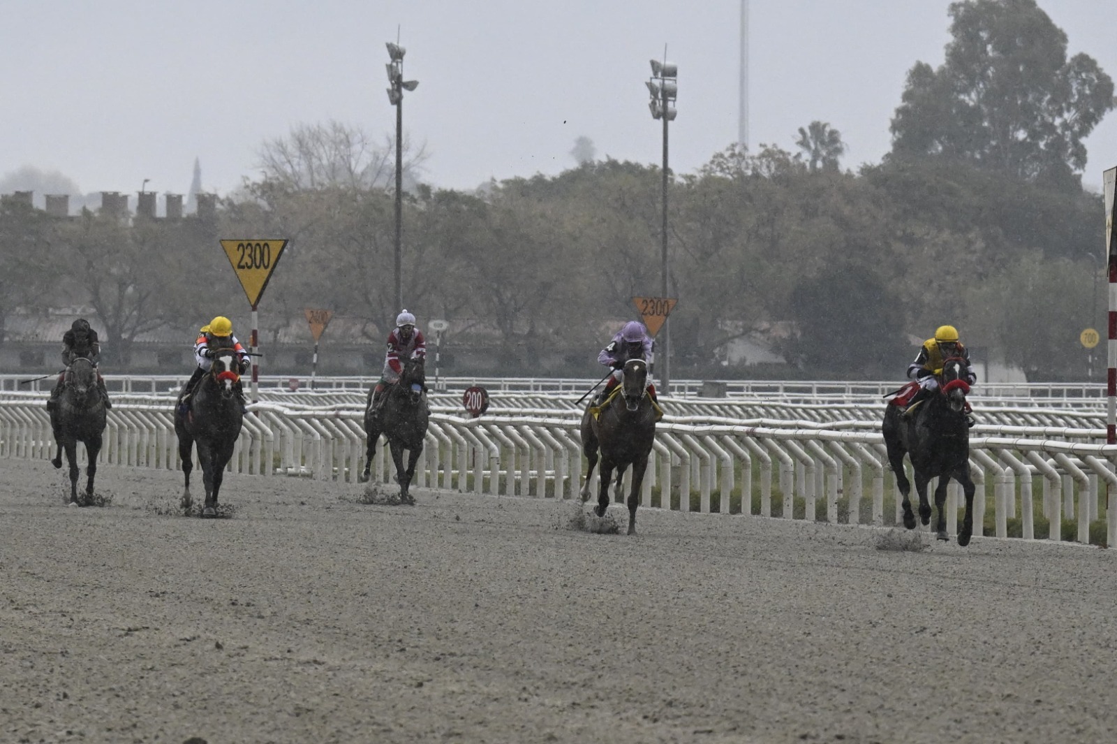 TOUCH OF DESTINY ganó y se quedó con la gatera de la Dirt Mile de Del Mar