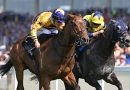 Breeders´Cup Win And You´re In; AMERICAN AFFAIR puntúa para Escocia en el King Charles III