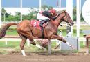 TAKAO impone nuevo récord en los 1700 metros con una espectacular victoria
